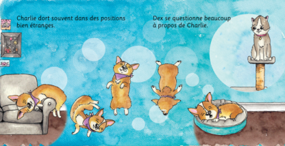 Livre - Dex et Charlie - La rencontre - Image 3