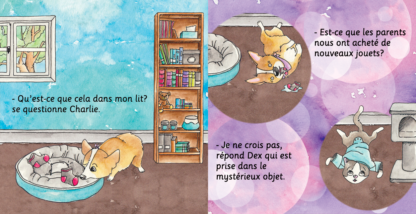 Livre - Dex et Charlie - La rencontre - Image 4